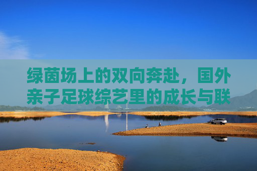 绿茵场上的双向奔赴,国外亲子足球综艺里的成长与联结 绿茵场上的双向奔赴,国外亲子足球综艺里的成长与联结