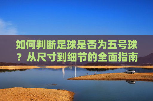 如何判断足球是否为五号球？从尺寸到细节的全面指南