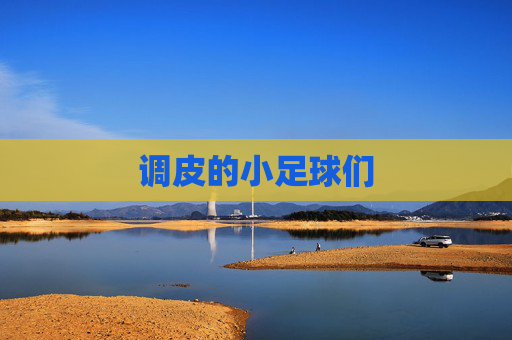 调皮的小足球们 调皮的小足球们