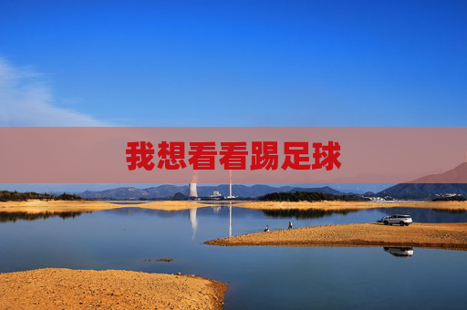 我想看看踢足球