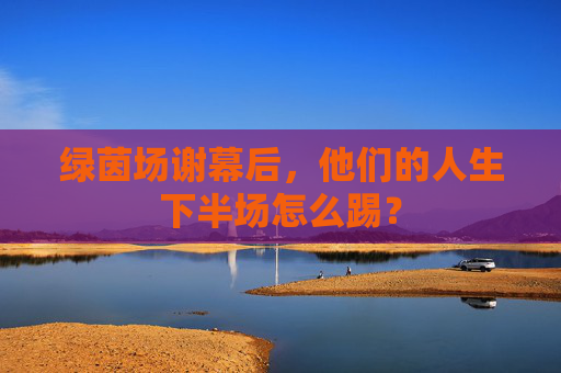 绿茵场谢幕后，他们的人生下半场怎么踢？