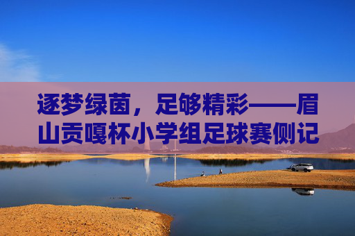 逐梦绿茵,足够精彩——眉山贡嘎杯小学组足球赛侧记 逐梦绿茵,足够精彩——眉山贡嘎杯小学组足球赛侧记