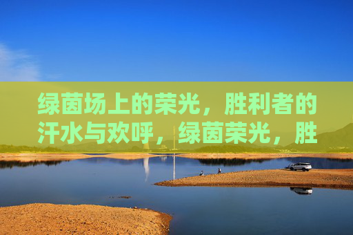 绿茵场上的荣光,胜利者的汗水与欢呼,绿茵荣光,胜利者的汗水与欢呼 绿茵场上的荣光,胜利者的汗水与欢呼,绿茵荣光,胜利者的汗水与欢呼
