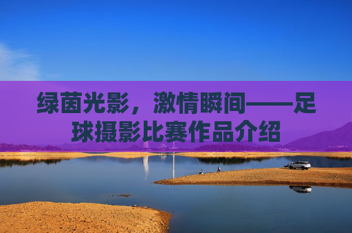 绿茵光影,激情瞬间——足球摄影比赛作品介绍 绿茵光影,激情瞬间——足球摄影比赛作品介绍