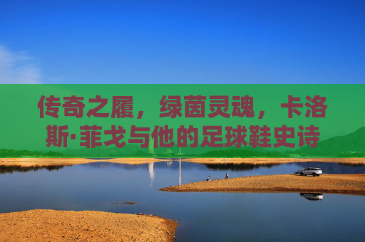 传奇之履,绿茵灵魂,卡洛斯·菲戈与他的足球鞋史诗 传奇之履,绿茵灵魂,卡洛斯·菲戈与他的足球鞋史诗