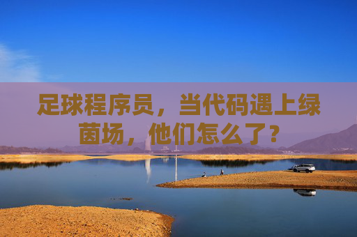 足球程序员,当代码遇上绿茵场,他们怎么了? 足球程序员,当代码遇上绿茵场,他们怎么了?