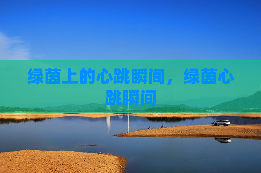 绿茵上的心跳瞬间，绿茵心跳瞬间