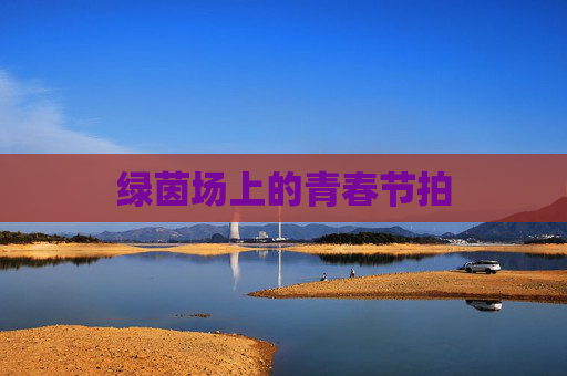 绿茵场上的青春节拍 绿茵场上的青春节拍