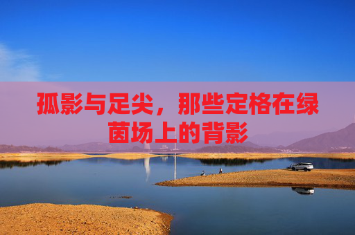 孤影与足尖,那些定格在绿茵场上的背影 孤影与足尖,那些定格在绿茵场上的背影