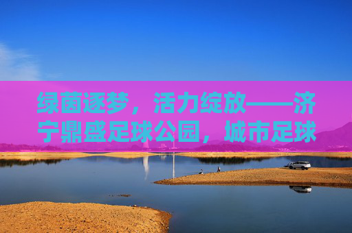 绿茵逐梦,活力绽放——济宁鼎盛足球公园,城市足球新地标 绿茵逐梦,活力绽放——济宁鼎盛足球公园,城市足球新地标