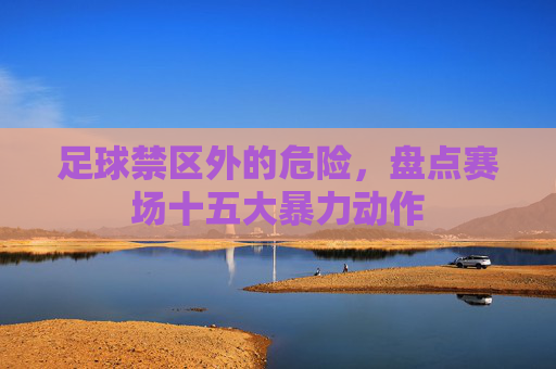 足球禁区外的危险，盘点赛场十五大暴力动作