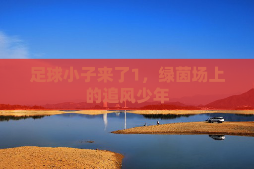 足球小子来了1，绿茵场上的追风少年
