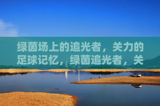 绿茵场上的追光者,关力的足球记忆,绿茵追光者,关力的足球记忆 绿茵场上的追光者,关力的足球记忆,绿茵追光者,关力的足球记忆