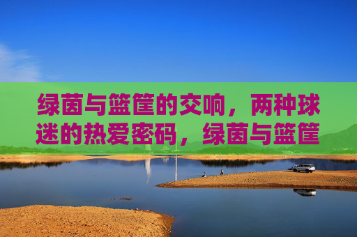 绿茵与篮筐的交响,两种球迷的热爱密码,绿茵与篮筐的交响,球迷热爱密码 绿茵与篮筐的交响,两种球迷的热爱密码,绿茵与篮筐的交响,球迷热爱密码