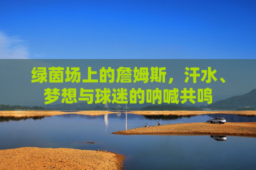 绿茵场上的詹姆斯，汗水、梦想与球迷的呐喊共鸣