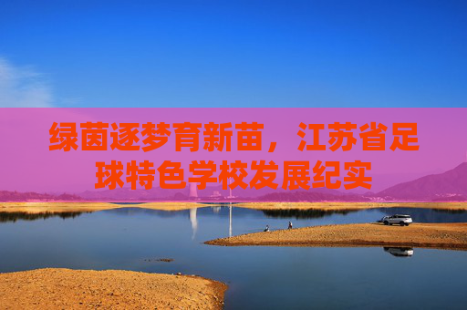绿茵逐梦育新苗，江苏省足球特色学校发展纪实