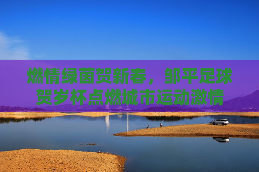 燃情绿茵贺新春，邹平足球贺岁杯点燃城市运动激情