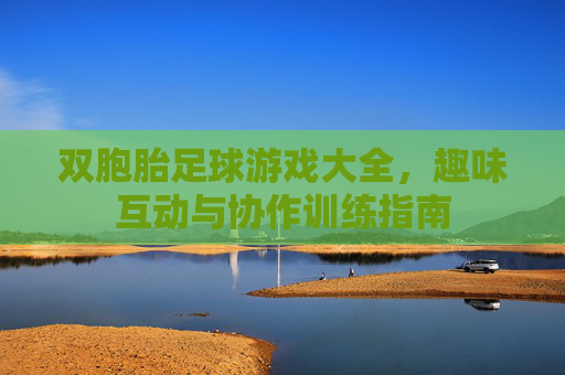 双胞胎足球游戏大全,趣味互动与协作训练指南 双胞胎足球游戏大全,趣味互动与协作训练指南