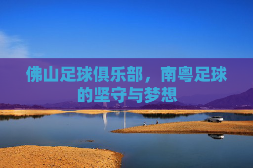 佛山足球俱乐部,南粤足球的坚守与梦想 佛山足球俱乐部,南粤足球的坚守与梦想