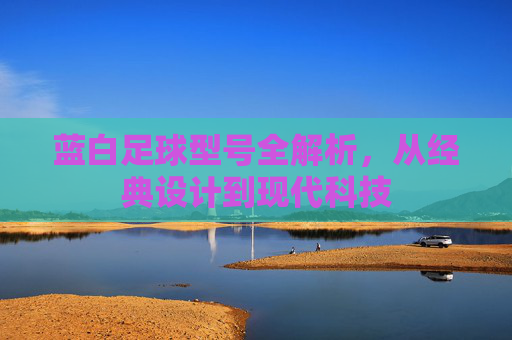 蓝白足球型号全解析，从经典设计到现代科技