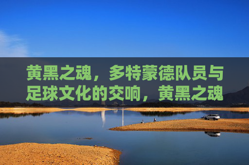 黄黑之魂,多特蒙德队员与足球文化的交响,黄黑之魂,队员与足球文化的交响 黄黑之魂,多特蒙德队员与足球文化的交响,黄黑之魂,队员与足球文化的交响