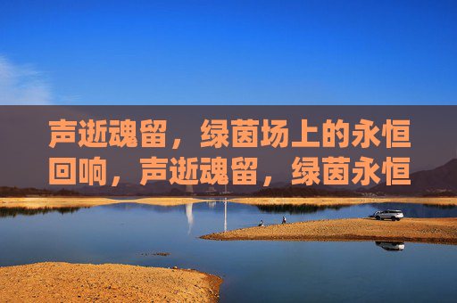 声逝魂留，绿茵场上的永恒回响，声逝魂留，绿茵永恒回响