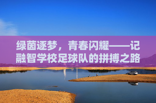 绿茵逐梦，青春闪耀——记融智学校足球队的拼搏之路
