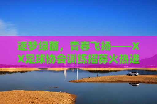逐梦绿茵，青春飞扬——XX足球协会训练招募火热进行中！