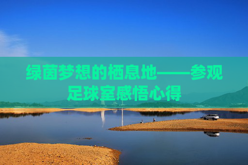 绿茵梦想的栖息地——参观足球室感悟心得 绿茵梦想的栖息地——参观足球室感悟心得