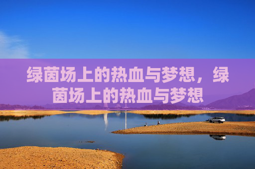 绿茵场上的热血与梦想，绿茵场上的热血与梦想