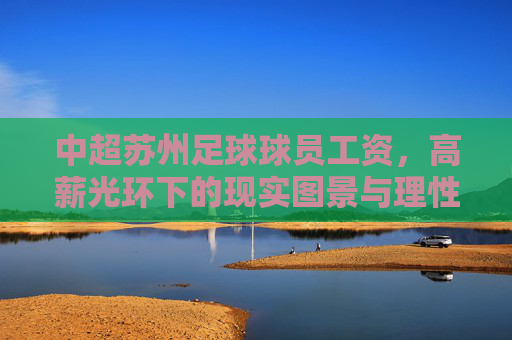 中超苏州足球球员工资，高薪光环下的现实图景与理性回归，中超苏州球员高薪，现实图景与理性回归