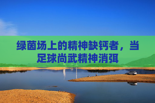绿茵场上的精神缺钙者,当足球尚武精神消弭 绿茵场上的精神缺钙者,当足球尚武精神消弭