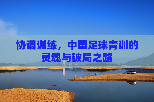协调训练,中国足球青训的灵魂与破局之路 协调训练,中国足球青训的灵魂与破局之路