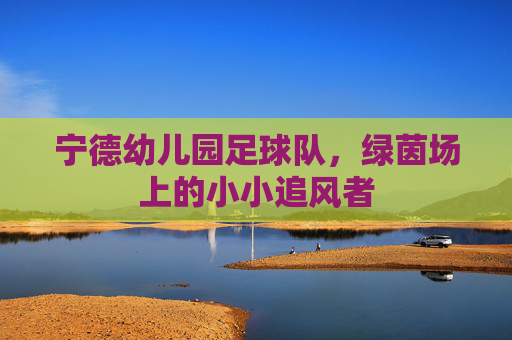宁德幼儿园足球队，绿茵场上的小小追风者