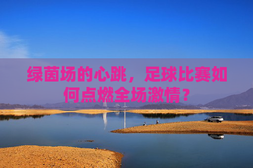 绿茵场的心跳，足球比赛如何点燃全场激情？