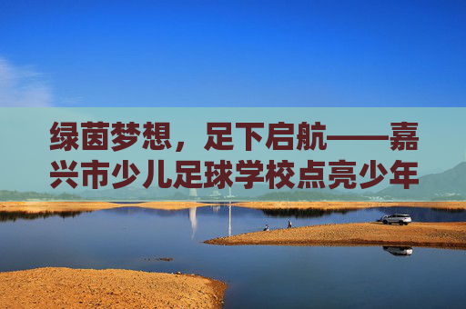 绿茵梦想，足下启航——嘉兴市少儿足球学校点亮少年足球之路，嘉兴市少儿足球学校，足下启航，点亮少年足球梦