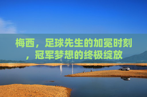梅西，足球先生的加冕时刻，冠军梦想的终极绽放
