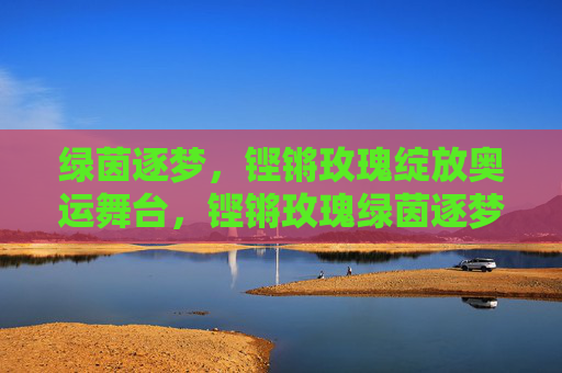 绿茵逐梦，铿锵玫瑰绽放奥运舞台，铿锵玫瑰绿茵逐梦绽放奥运