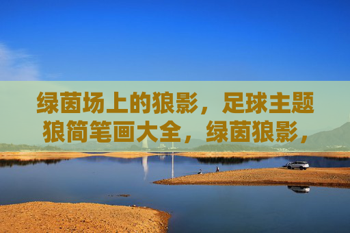 绿茵场上的狼影，足球主题狼简笔画大全，绿茵狼影，足球主题狼简笔画大全