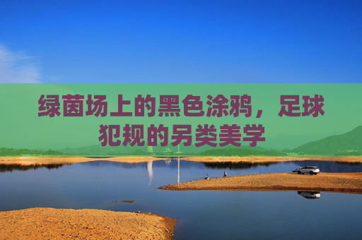 绿茵场上的黑色涂鸦,足球犯规的另类美学 绿茵场上的黑色涂鸦,足球犯规的另类美学
