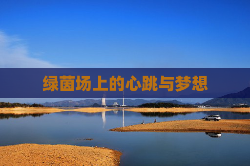 绿茵场上的心跳与梦想 绿茵场上的心跳与梦想