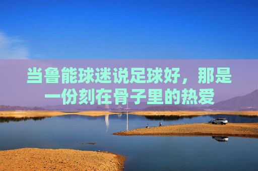 当鲁能球迷说足球好,那是一份刻在骨子里的热爱 当鲁能球迷说足球好,那是一份刻在骨子里的热爱