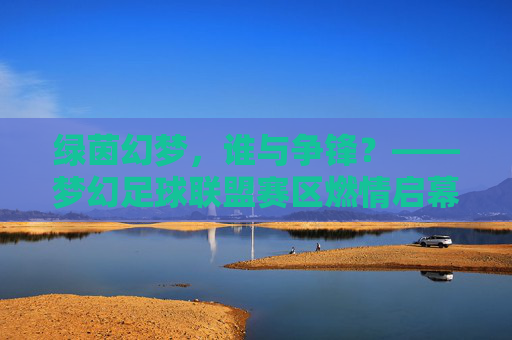 绿茵幻梦，谁与争锋？——梦幻足球联盟赛区燃情启幕