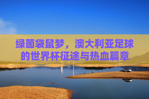绿茵袋鼠梦,澳大利亚足球的世界杯征途与热血篇章 绿茵袋鼠梦,澳大利亚足球的世界杯征途与热血篇章