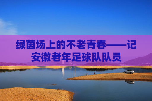 绿茵场上的不老青春——记安徽老年足球队队员