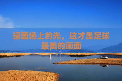 绿茵场上的光，这才是足球最美的画面