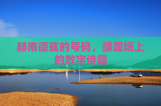 赫南德兹的号码，绿茵场上的数字诗篇