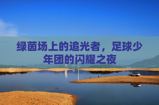 绿茵场上的追光者，足球少年团的闪耀之夜