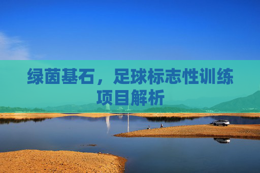 绿茵基石，足球标志性训练项目解析