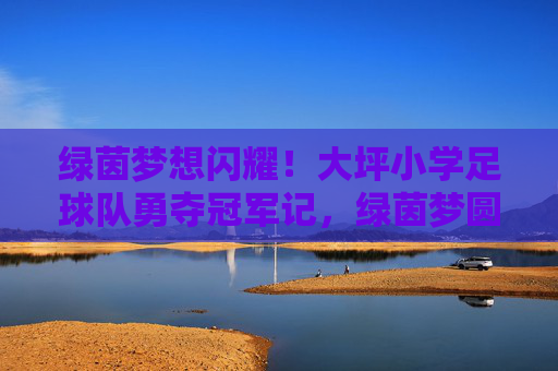 绿茵梦想闪耀!大坪小学足球队勇夺冠军记,绿茵梦圆!大坪小学足球队勇夺冠军 绿茵梦想闪耀!大坪小学足球队勇夺冠军记,绿茵梦圆!大坪小学足球队勇夺冠军